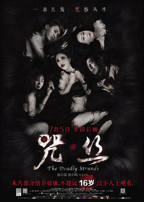 咒·絲(2013)海報