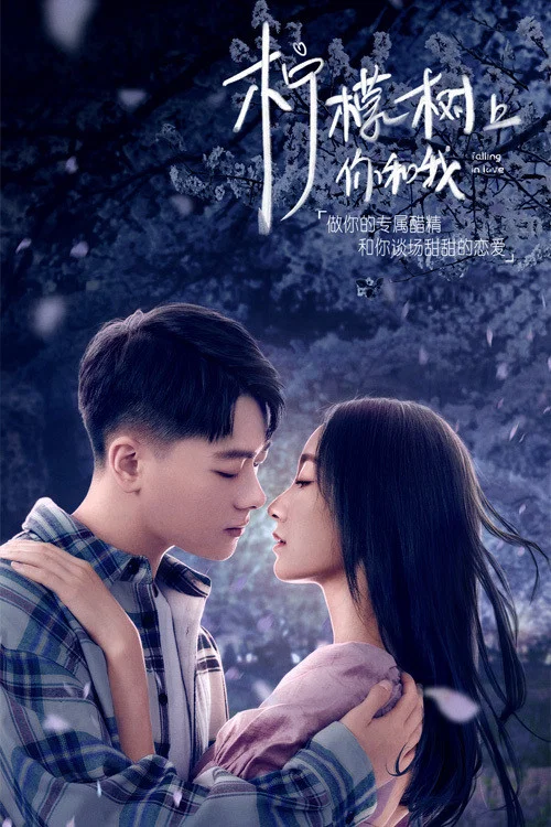 柠檬树上你和我(2021)海报