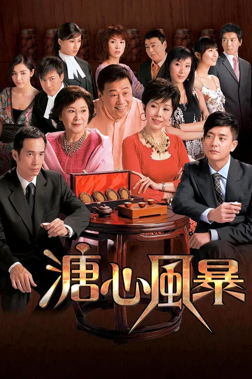 溏心风暴国语(2007)海报