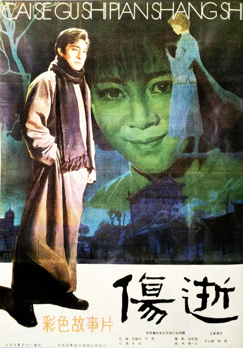 傷逝(1981)海報