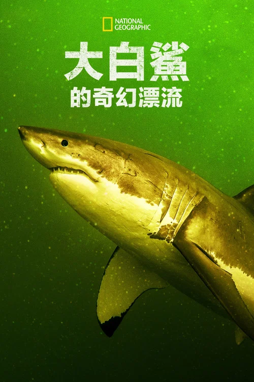 大白鲨(2023)海报
