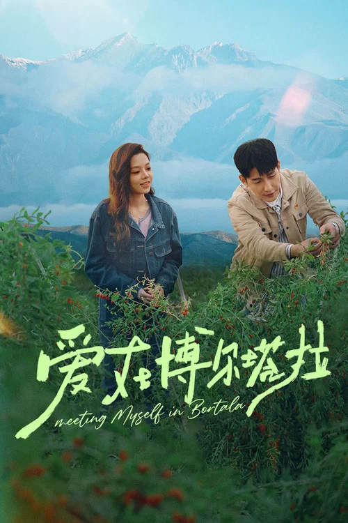 愛在博爾塔拉(2026)海報