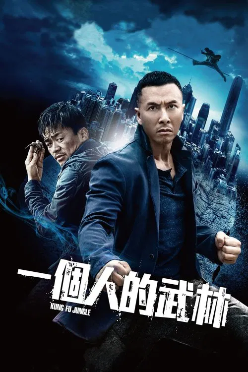 一個人的武林(2014)海報