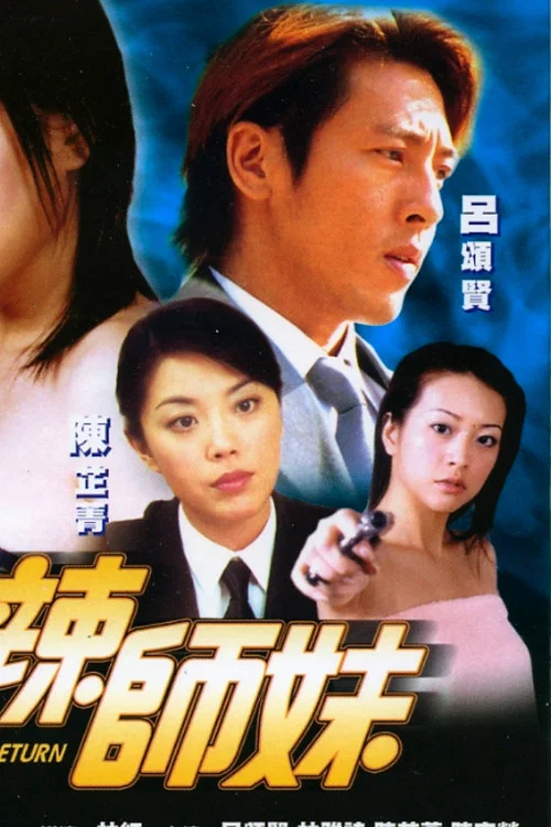 火辣師妹(2002)海報