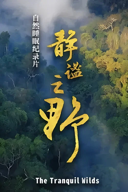 静谧之野(2025)海报