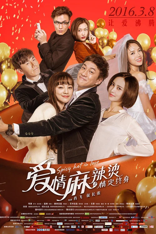 愛情麻辣燙之情定終身(2016)海報