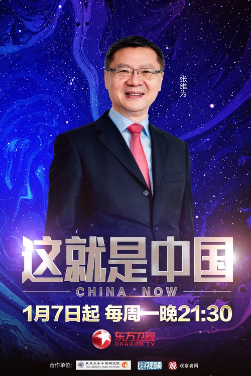 這就是中國(2019)海報