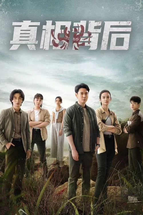 真相背后(2024)海报