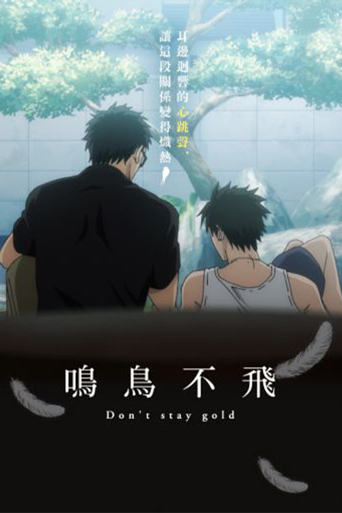 鸣鸟不飞 OAD(2021)海报