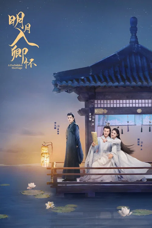明月入卿懷2025(2025)海報