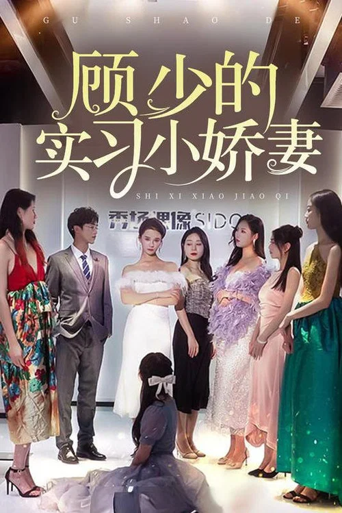 顾少的实习小娇妻(2023)海报