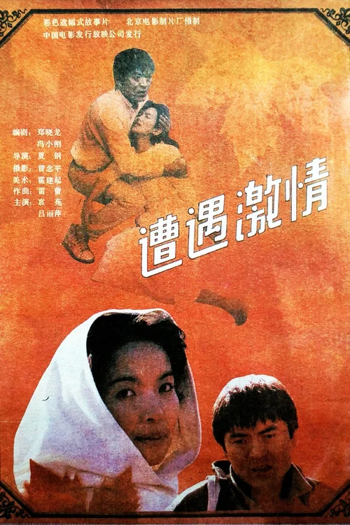 遭遇激情(1990)海報