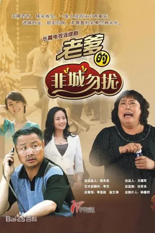 非老勿扰(2012)海报