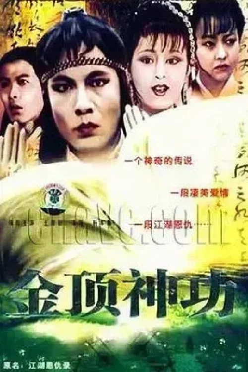 金頂神功(1991)海報