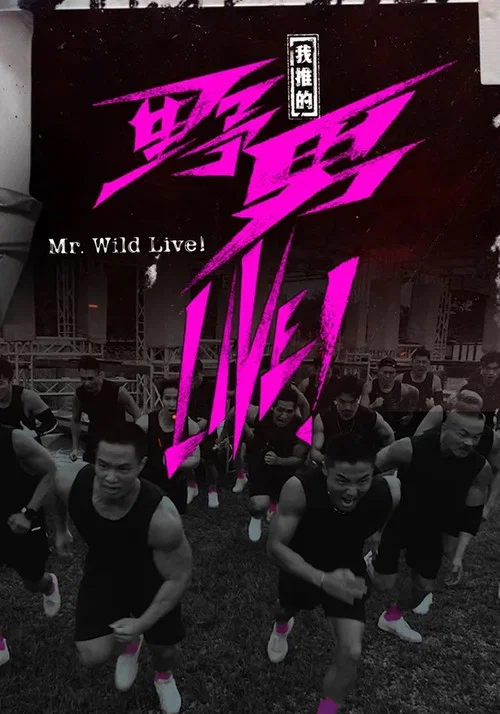 我推的野男LIVE!海报