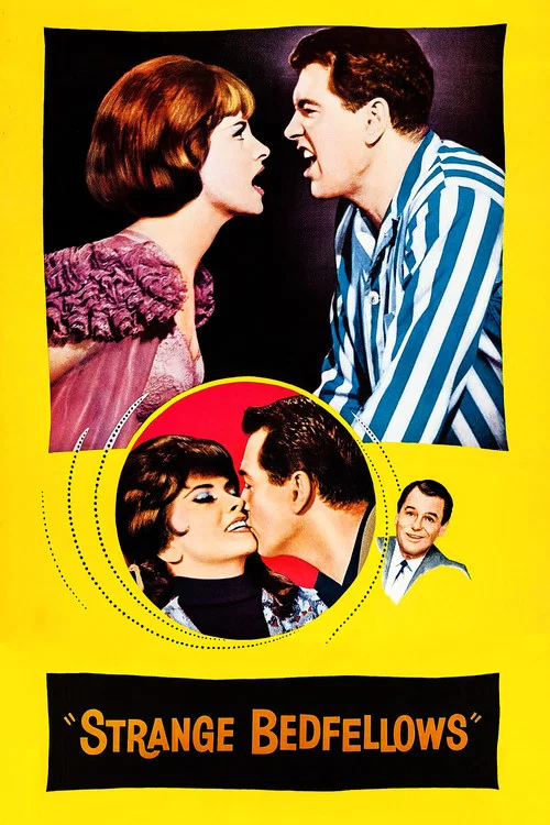 同床異夢(1965)海報