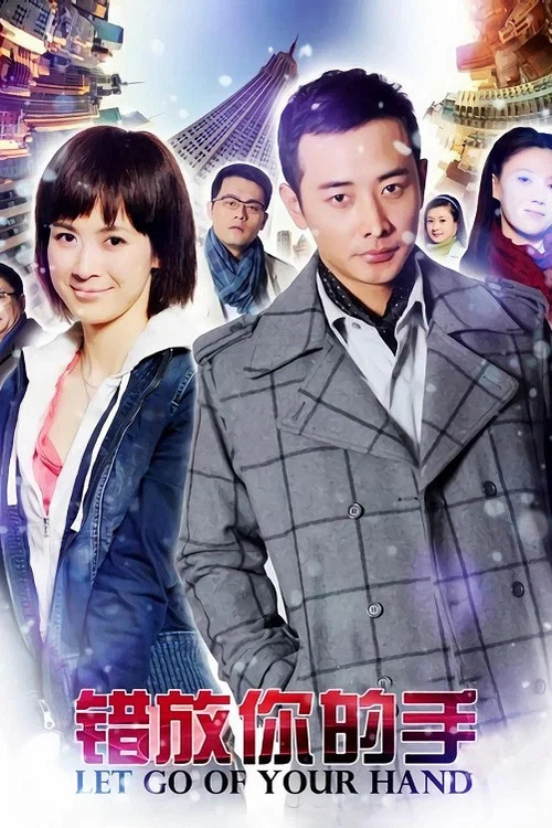 错放你的手(2014)海报