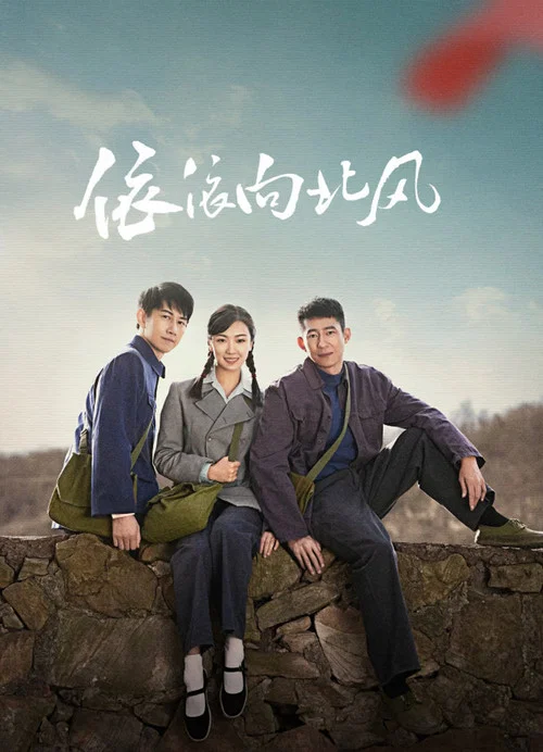 依依向北风(2025)海报