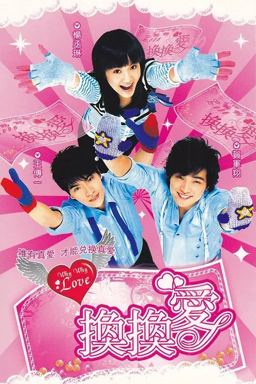 换换爱(2007)海报