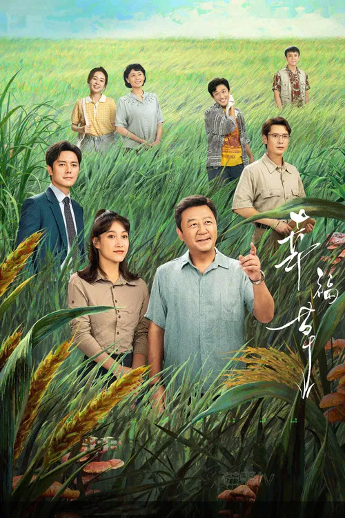幸福草(2024)海報