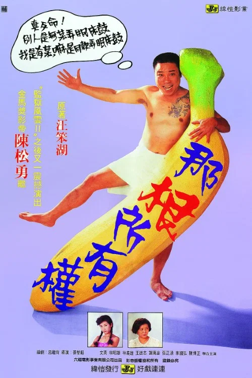 那根所有权(1991)海报