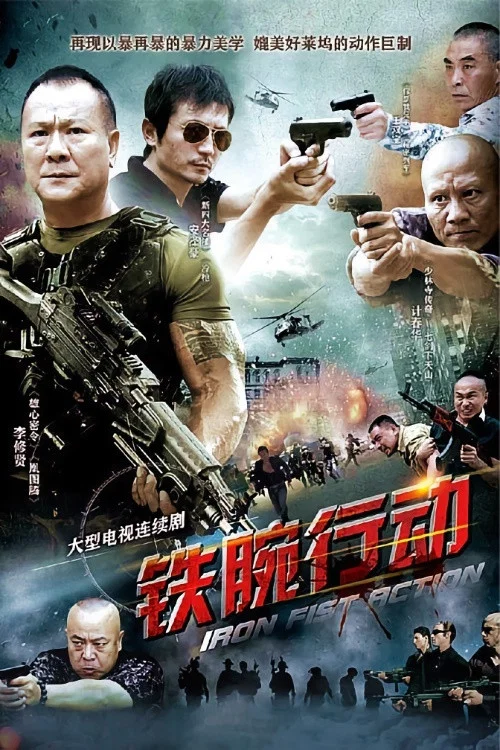 铁腕行动(2013)海报