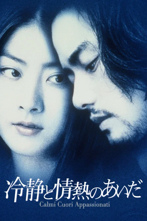 冷靜與熱情之間(2001)海報