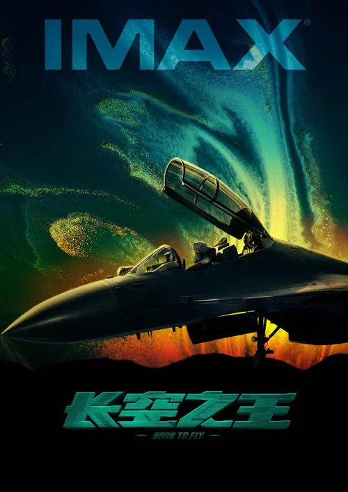 長空之王劇照8
