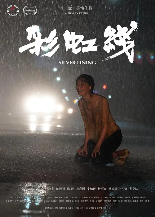 彩虹线(2024)海报