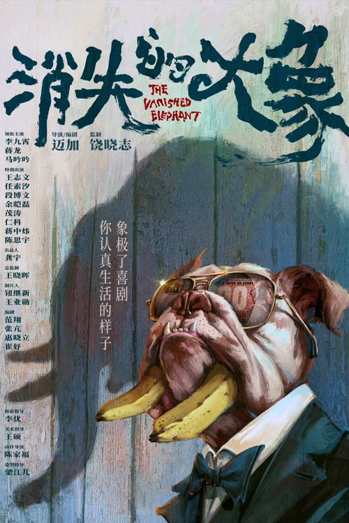 消失的大象剧照2