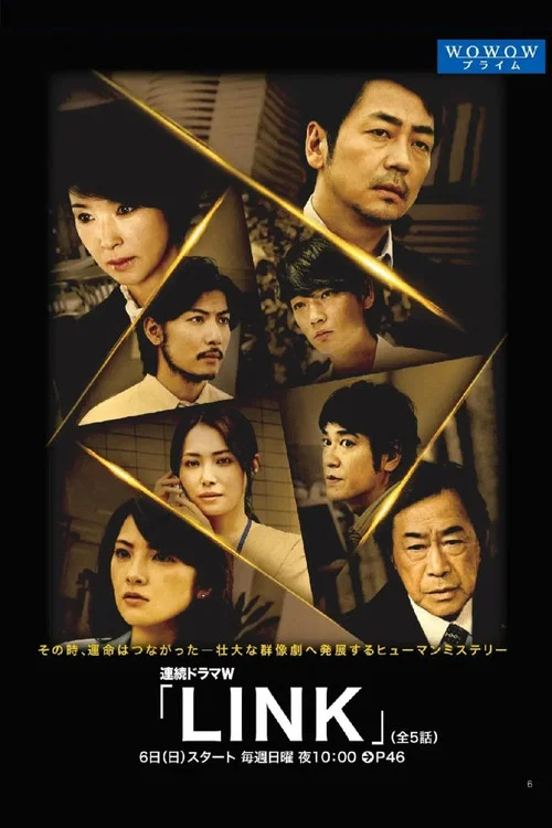 LINK(2013)海报