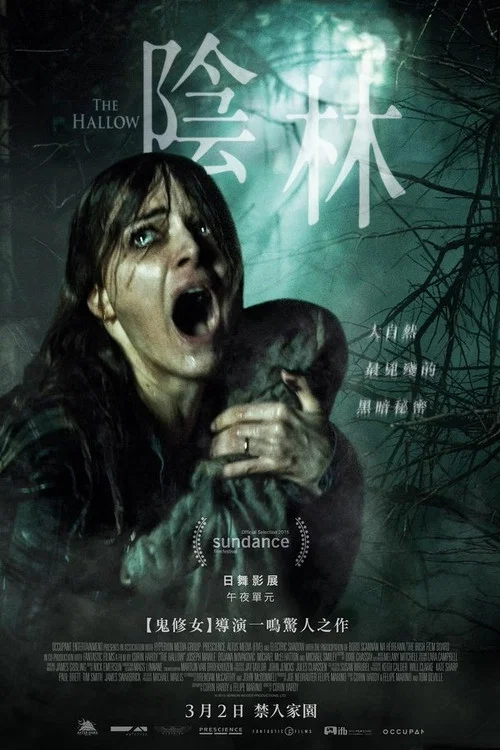 聖魘(2015)海報