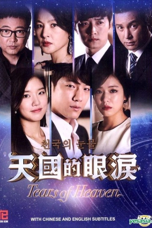 天國的眼淚(2014)海報