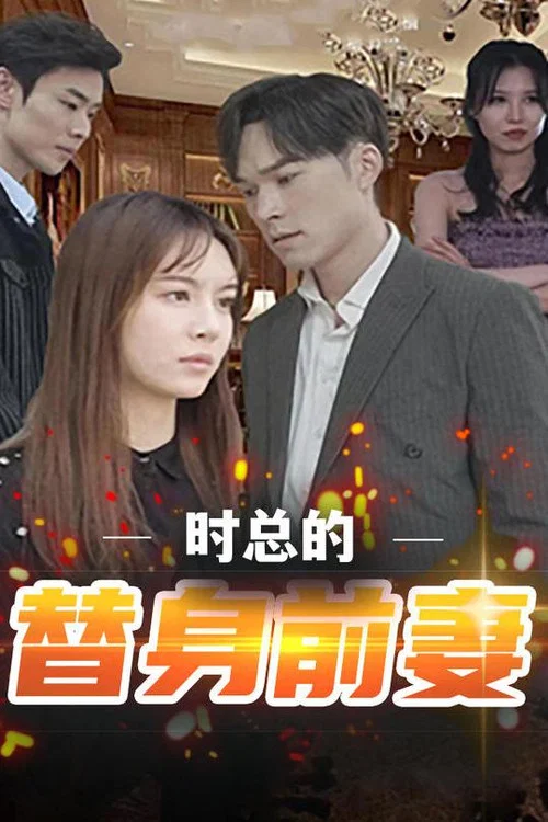 时总的替身前妻(2023)海报