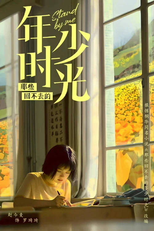 那些回不去的年少时光剧照3