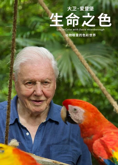 生命之色(2021)海报