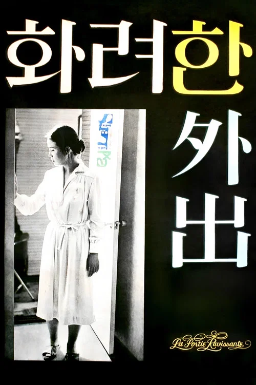 華麗的外出(1978)海報