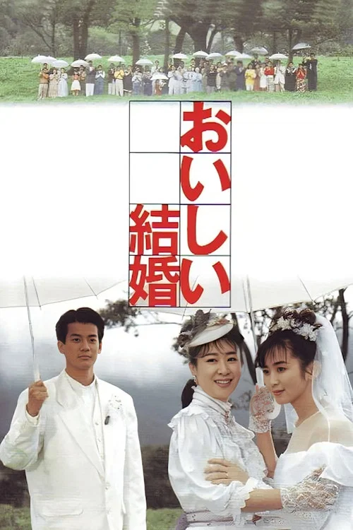 美妙的婚姻(1991)海報