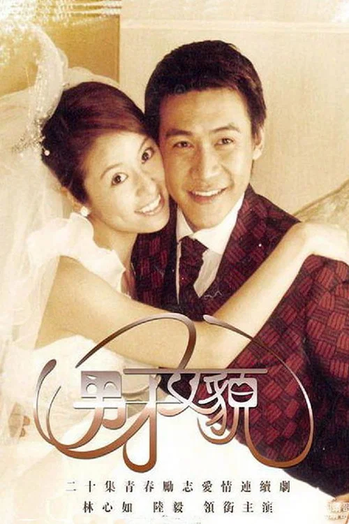 男才女貌海报