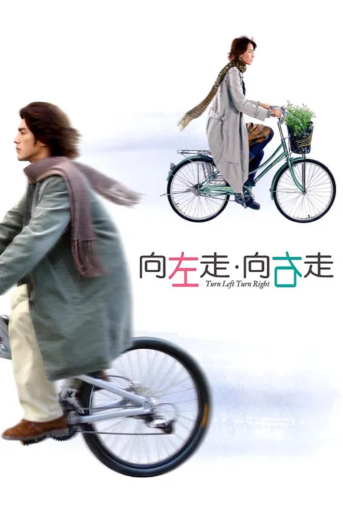 向左走·向右走(2003)海报