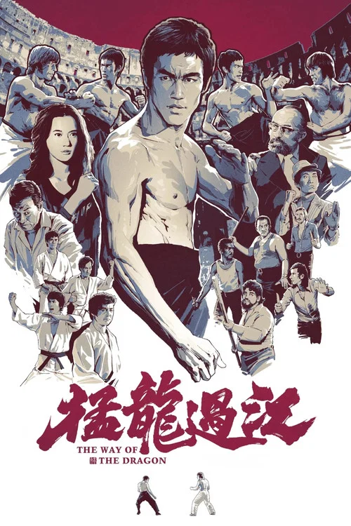 猛龙过江(1972)海报