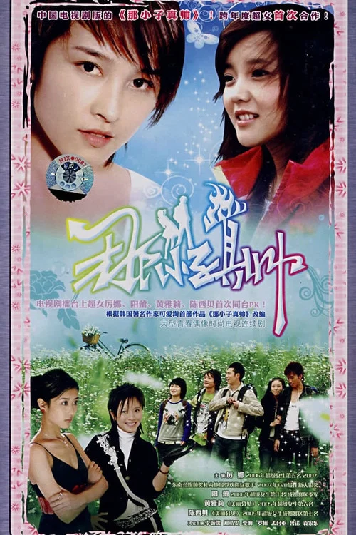 那小子真帥(2008)海報