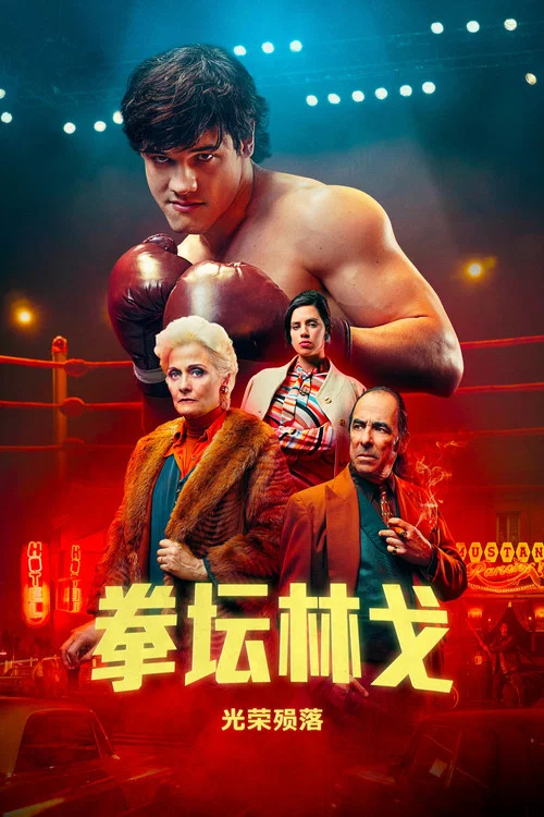拳坛林戈:光荣殒落剧照2