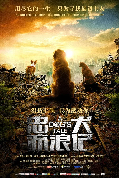 忠犬流浪記(2021)海報