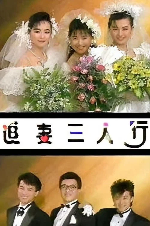 追妻三人行(1989)海報