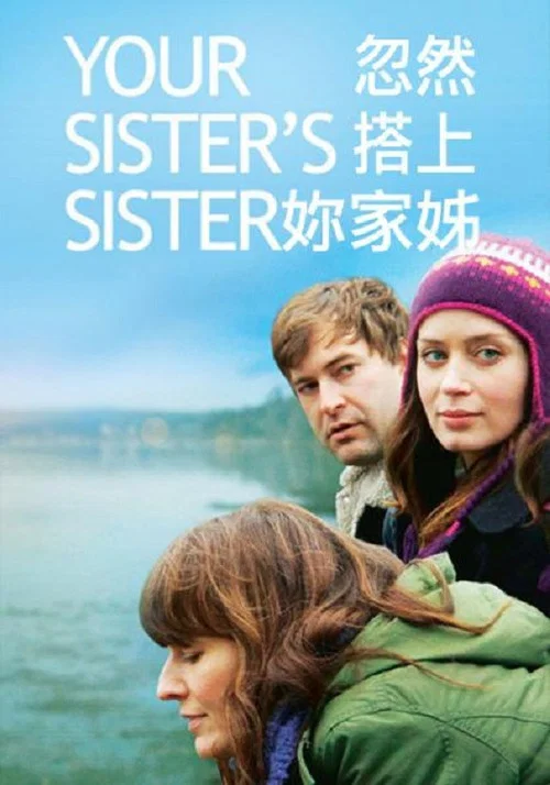姐妹情深(2011)海報