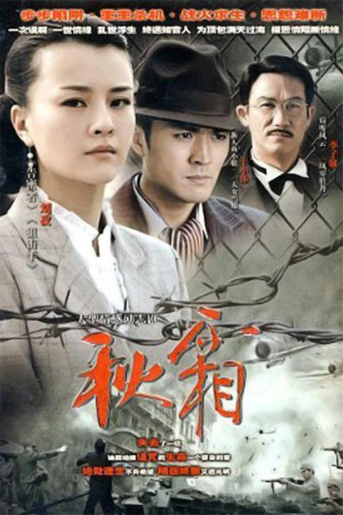 秋霜(2010)海报