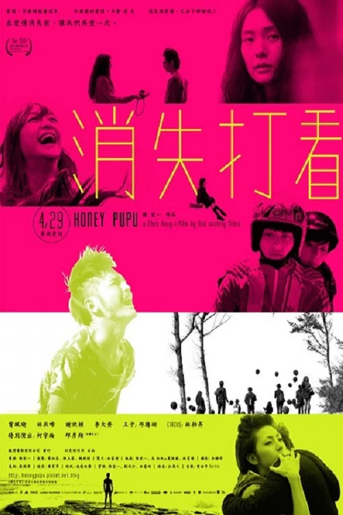 消失打看(2011)海報