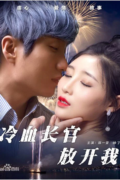 冷血长官放开我(2017)海报