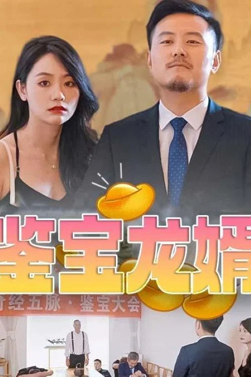 鉴宝龙婿(2023)海报